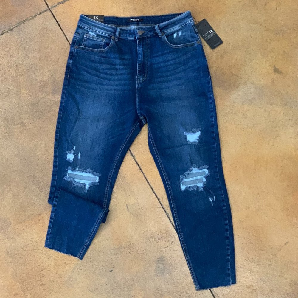 Women's Plus Distressed High Rise Slim Fit Jeans